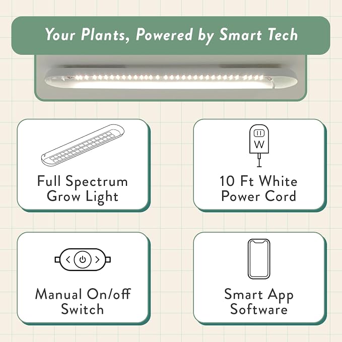 Modern Sprout Garden Jars+Smart Growbar Bundle- Self-Watering Hydroponic Herb Growing Kit with Full-Spectrum LED Grow Light, Organic Herb Seeds, Smart App, Adjustable Brightness, Gift for Mother's Day