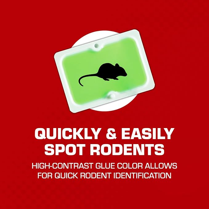 Tomcat Super Hold Glue Traps Mouse Size for Mice,Cockroaches,Spiders,and Scorpions,Ready-to-Use,4 Traps,(Pack of 12)