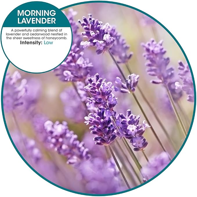 Fresh Products myfreshe Plug in Air Freshener Worry free No Heat No Glass Dry Fragrance Refills For Small Spaces Made in the USA Morning Lavender 2 pack