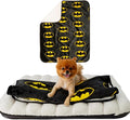 Batman DC Comics Waterproof Dog Bed Cover, Large 30x40 Pet Blanket for Furniture Bed Couch Sofa, (Officially Licensed) by Franco