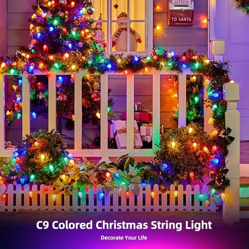 C9 LED Christmas Lights Outdoor, 68ft 100 LED Waterproof Strawberry Christmas Decorations String Lights, Plug in Vintage Christmas Tree Lights for Outside, Roof, Patio, Wedding, Party, Multicolor