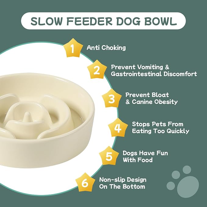 Havniva Elevated Slow Feeder Dog Bowls, Ceramic Dog Bowl Slow Feeder | 0.9 Cups Raised Slow Feeding Bowl for Small Breed, Puzzle Dog Food Bowl with Wooden Stand, Non-Slip, Anti-Choking