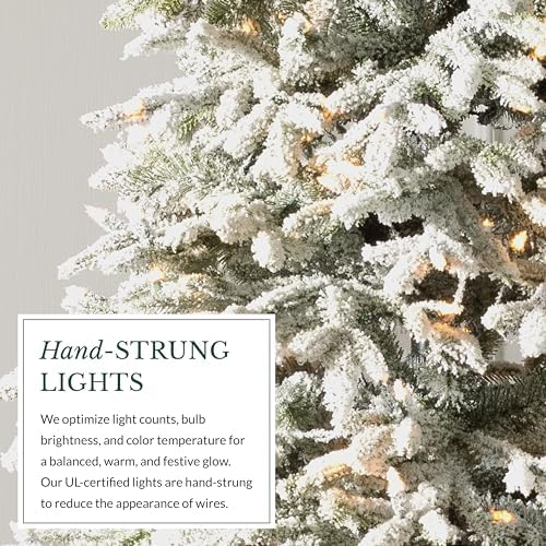 Balsam Hill BH Frosted Fraser Fir - Snow-Covered Artificial Christmas Tree with True Needle Foliage, Easy Plug Technology & Winter Magic Design, LED Clear, 6.5ft