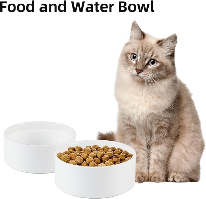 Havniva Ceramic Dog Bowls, 5.1” Dog Food and Water Bowl Set of 2 | Dog Food Bowl for Small Dogs, Food-Grade Ceramic, Dog Water Bowl with Non-Slip Rubber Base, Large Capacity, Dishwasher Safe