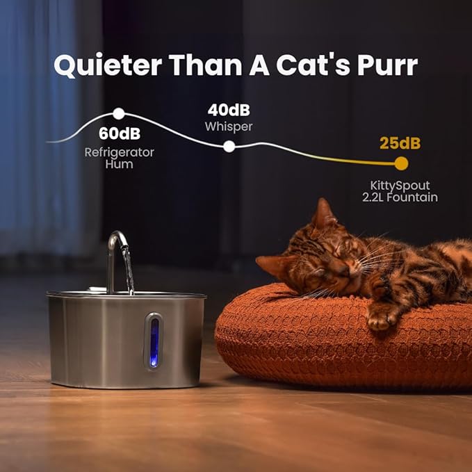 KittySpout Stainless Steel Cat Water Fountain Automatic Drinking Fountain, Quiet Circulating Water Bowl, Dishwasher Safe, Indoor Pet Fountain for Hydrated Healthy Cats (Stainless Steel, 2.2L Corded)