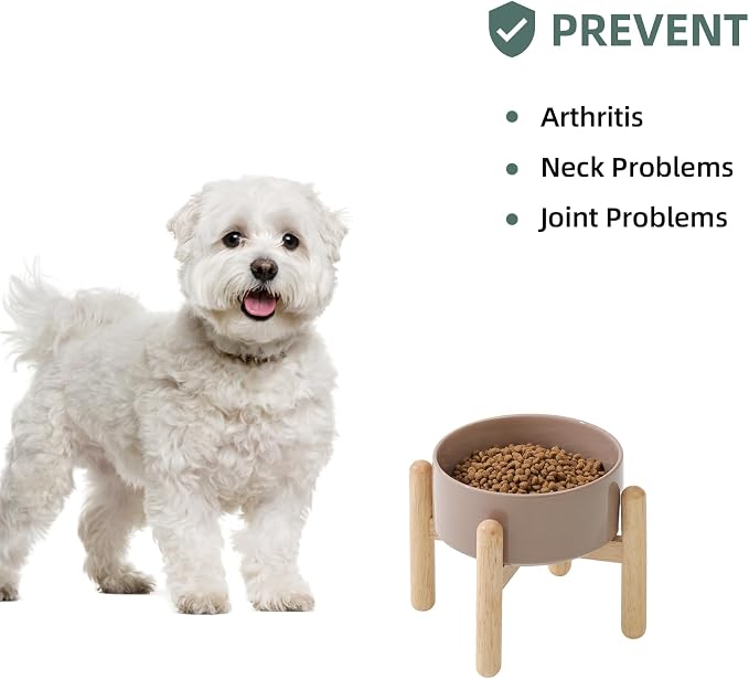 Havniva Elevated Dog Bowls Ceramic Dog Bowls with Stand, Dog Food Bowl | 6.1” Raised Dog Bowls with Non-Slip Wood Stand, Dog Food and Water Bowl Set, Dog Feeding Bowls for Small & Medium Dogs