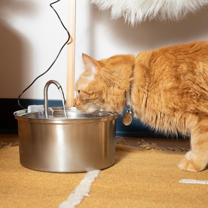 KittySpout Stainless Steel Cat Water Fountain Automatic Drinking Fountain, Quiet Circulating Water Bowl, Dishwasher Safe, Indoor Pet Fountain for Hydrated Healthy Cats (Stainless Steel, 3.2L Corded)