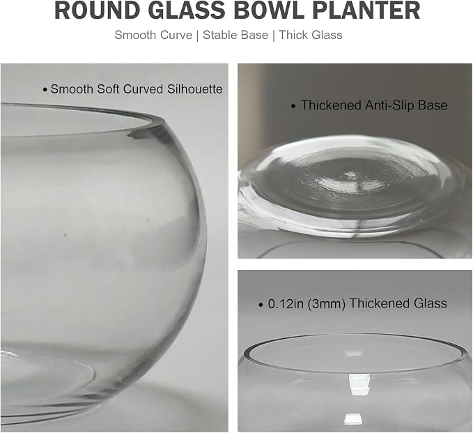 8" Round Glass Lotus Bowl Planter with Rattan Mat, Clear Indoor Hydroponic Water Lily Pot for Aquatic Plants, Bonsai & Lotus Flowers, Decorative Terrarium Bowl Vase, Fish Tank