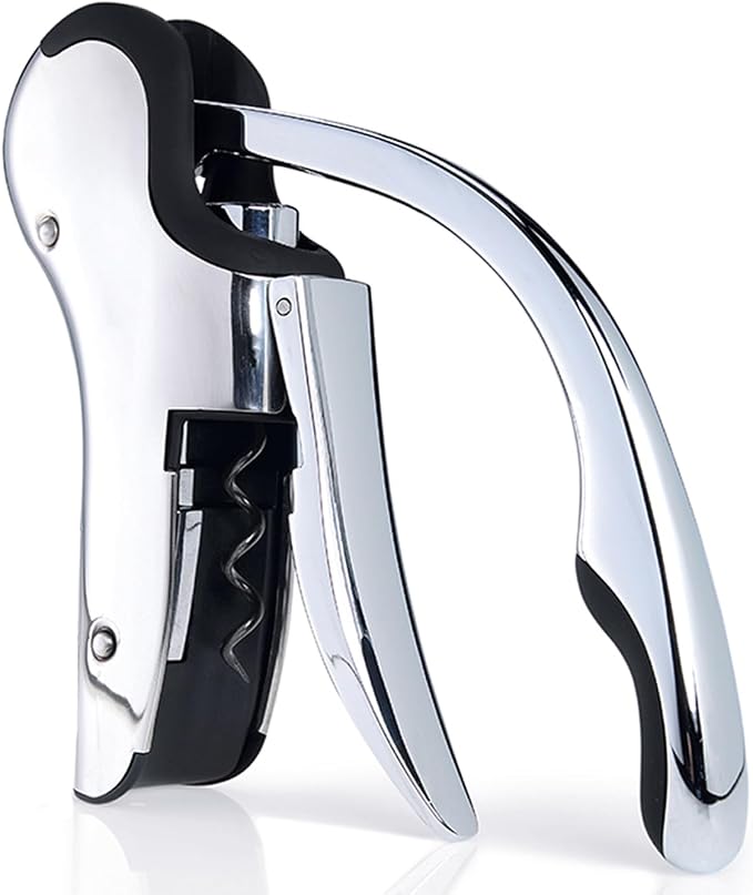 KEISSCO Stainless Steel Wine Opener Set - Compact Vertical Corkscrew Wine Bottle Opener Gift Set with Foil Cutter, Aerator Pourer, Vacuum Pump and 2 Wine Stoppers, Wine Gift Set for Home Party Bar
