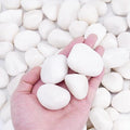 Pulovin 20 lbs White Rocks for Landscaping, Vases, Plants Indoor, 1-2 Inch | Large White Rocks for Plants, Decorative Polished Stones for Garden, Walkways, Yard, Plants Pots, Vases, Crafts