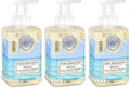 Michel Design Works Foaming Hand Soap, Beach, 17.8 Fl oz, Pack of 3