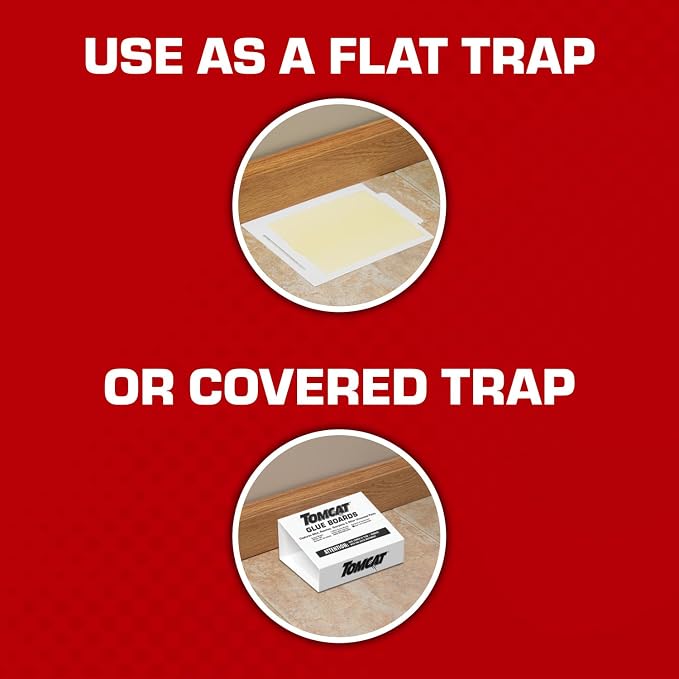 Tomcat Glue Boards with Eugenol for Enhanced Stickiness, 4 Boards | Sticky Traps for Mice, Cockroaches & Insects, Flat or Covered Use, Ready-To-Use