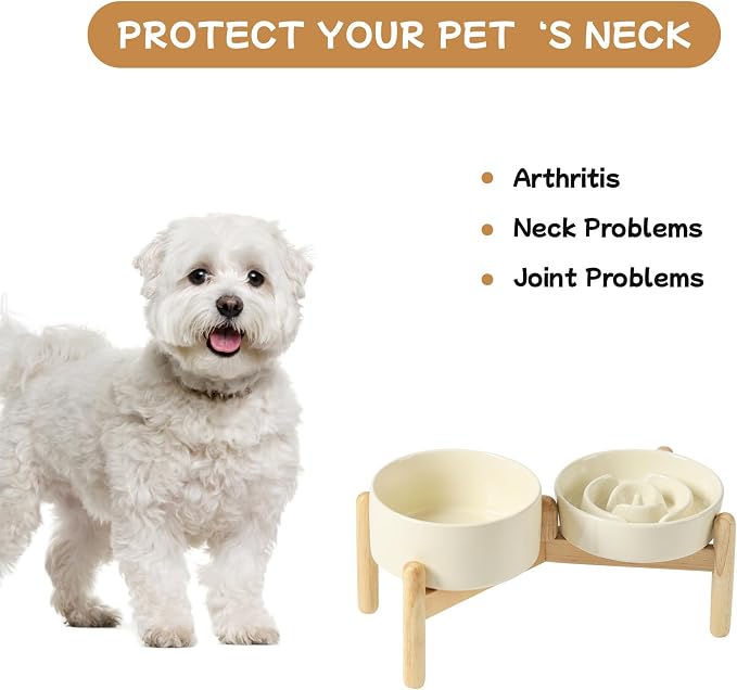 Havniva Elevated Slow Feeder Dog Bowls, Ceramic Dog Bowl Slow Feeder Set | 0.9 Cups Raised Slow Feeder Dog Bowl for Small Breed, 6.1” Dog Water Bowl with Wooden Stand, Puzzle Dog Food Bowl, Non-slip