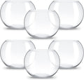 Thenshop 6 Pcs Clear Fish Bowl Bulk Glass Bubble Vase Mini Round Vase Bubble Planter Terrarium Fish Bowl for Centerpiece Flowers Betta Fishs Wedding Event Home Decor Flowers (4.5 x 3.7 x 5.9 Inch)