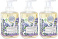 Michel Design Works Foaming Hand Soap, Lavender Rosemary, with Soap Dispenser, 3-Pack, 17.8 Fl oz Each