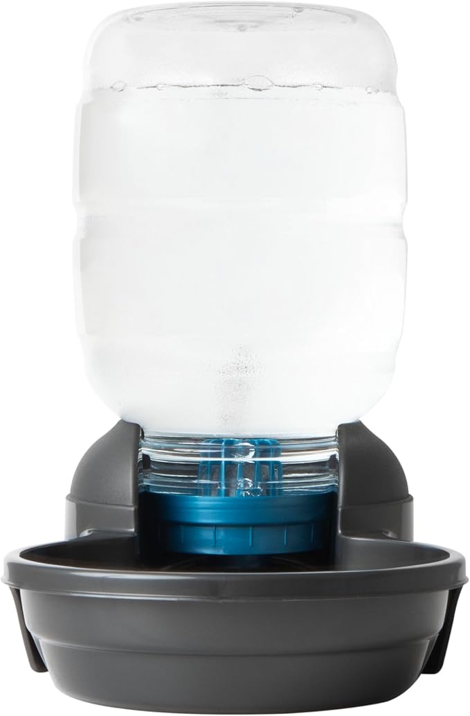 Petmate® Replendish® Automatic Dog Water Dispenser Gravity Pet Waterer with Microban Antimicrobial Protection, 100% BPA Free - 2.5 Gallon, Wide Mouth Bowl, with 2 Extra Filters