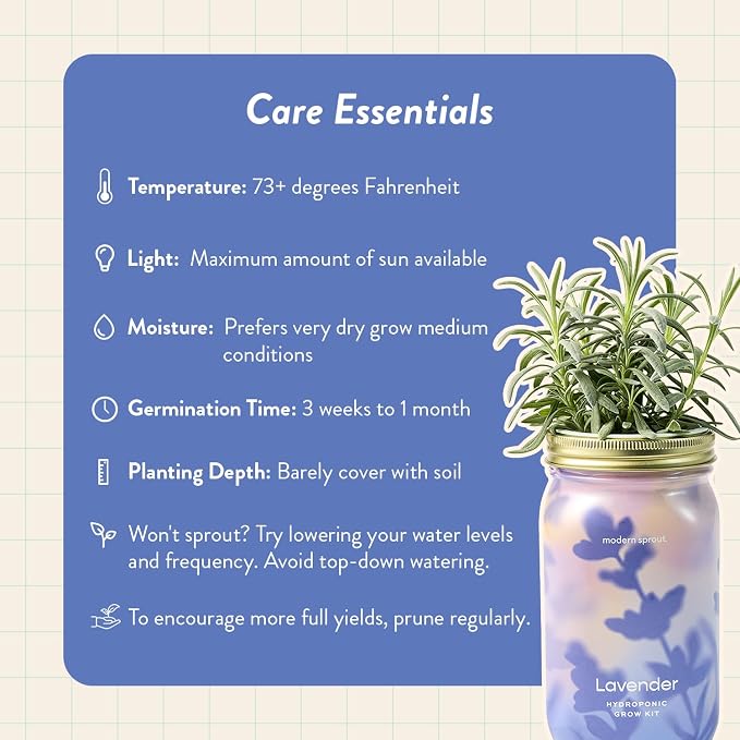 Modern Sprout Mason Garden Jar + Replant Kit - Self-Watering Hydroponics Growing System Kit w/Organic Herb Seeds - Jar Planter for Indoor Herb Garden - Seed Starter - Gift for Mother's Day - Lavender
