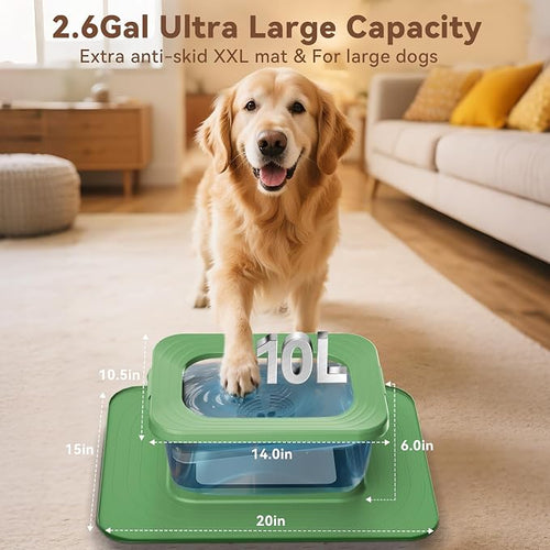 10L No Spill Dog Water Bowl Stainless Steel for Messy Drinkers | Large Capacity Slobber Stopper, Slow Drinking Anti Splash Design, XXL Silicone Mat, For Large Dogs & Multi-pet Homes, Green