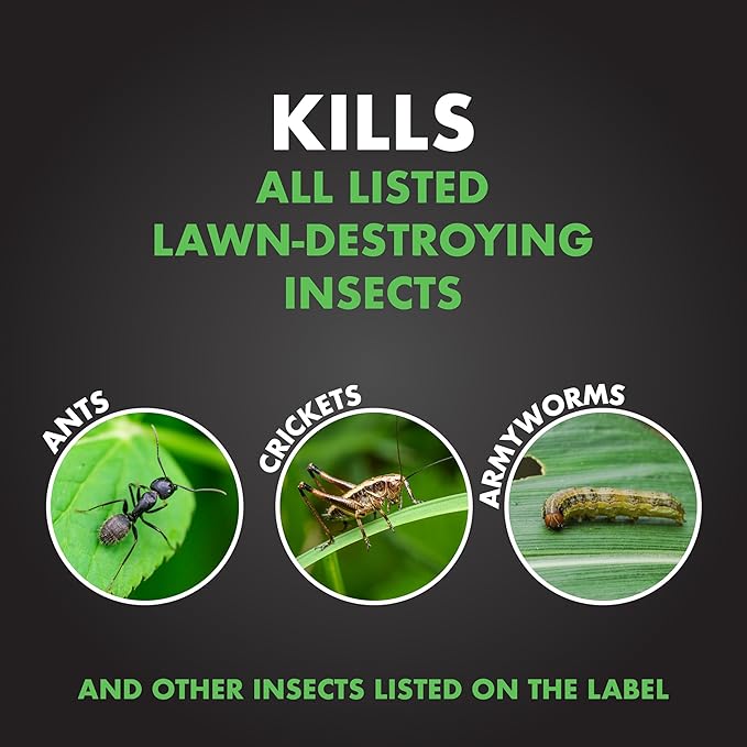 Spectracide Triazicide Insect Killer For Lawns, 10 Pounds, Granules Kill Listed Lawn-Damaging Insects, 4 Pack