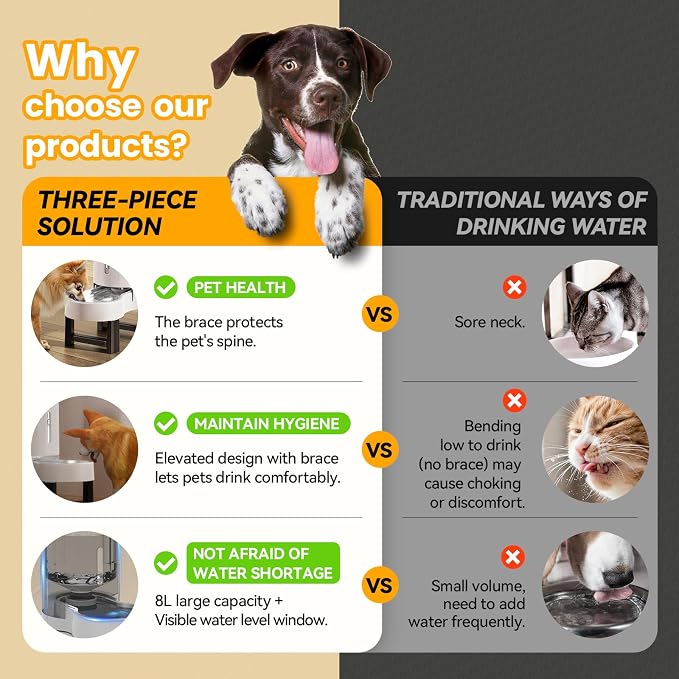 CZPET Elevated Dog Water Bowl Dispenser for Large Dogs (8L+Stand,White) | With Stainless Steel Bowl Gravity Waterer, Large Capacity and Drinking Area Noise-Free for Pets