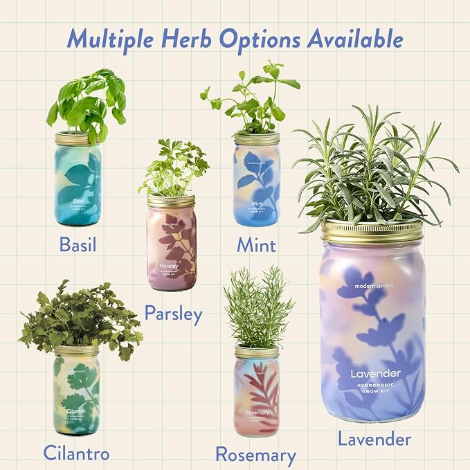 Modern Sprout Mason Garden Jar + Replant Kit - Self-Watering Hydroponics Growing System Kit w/Organic Herb Seeds - Jar Planter for Indoor Herb Garden - Seed Starter - Gift for Mother's Day - Lavender