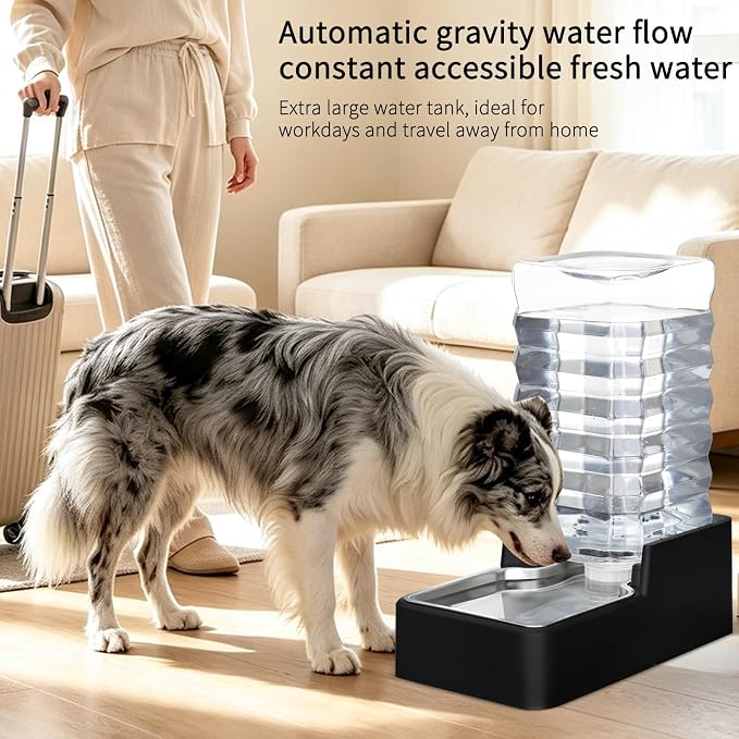 10L Automatic Dog Water Dispenser for Dog: No Filter | No Electricity Required/Gravity-Fed Refill/Spill-Resistant/Detachable for Cleaning/Stable Anti-Tip Base/for Daily Hydration