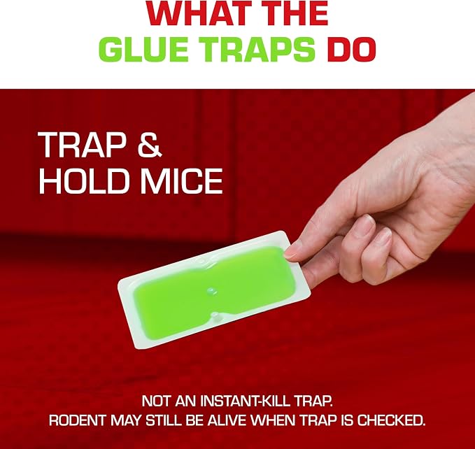 Tomcat Super Hold Glue Traps Mouse Size, 4 Traps | For Mice, Cockroaches, Spiders, and Scorpions, Ready-To-Use