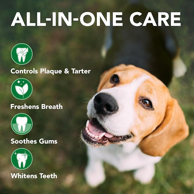 Vet's Best Enzymatic Dog Toothpaste Dental Gel, 12 Pack, 3.5 oz Tubes | Enzymatic Dental Gel, Helps Remove Plaque & Tartar, Freshens Breath, Vet Formulated, Twelve 3.5 oz Tubes