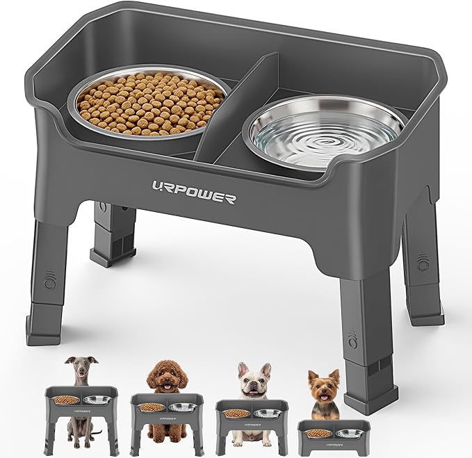 URPOWER Mess Proof Elevated Dog Bowls, Splash Guard Raised Bowl Stand | 4 Adjustable Heights, 2 Stainless Steel Bowls, Food & Water Separation, Non-Slip Base, Foldable Design for Small Dogs