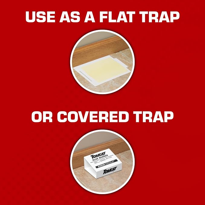 Tomcat Glue Boards with Eugenol for Enhanced Stickiness, 104 Boards | Sticky Traps for Mice, Cockroaches & Insects, Flat or Covered Use, Ready-To-Use, 26 Packages Each with 4 Glue Boards