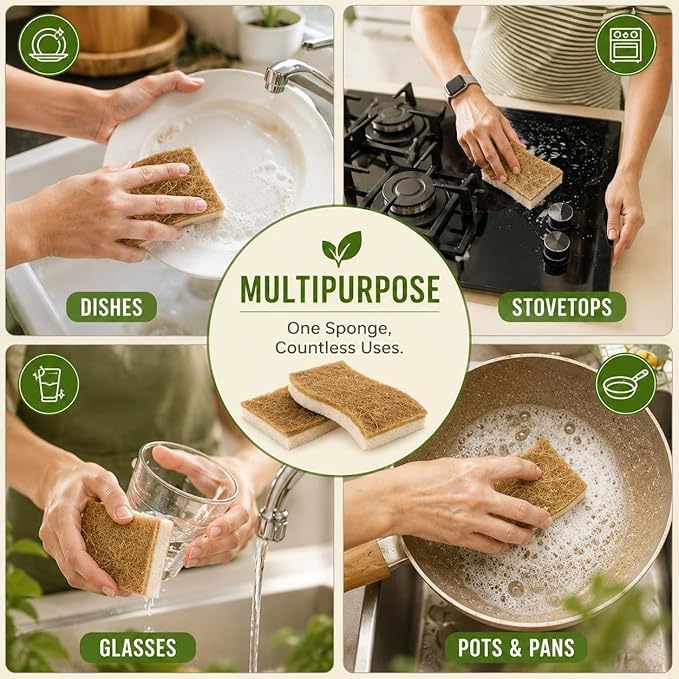 Kaidaa Set of 5 Natural Kitchen Sponges | 100% Coconut Coir Scrubber Sponge for Dishwashing | Eco Friendly, Non Toxic & Biodegradable Cleaning Sponges for Kitchen | Long-Lasting Dish Scrub Pads