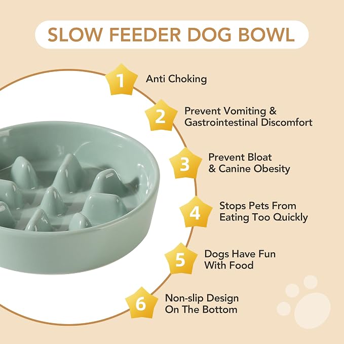 Havniva Elevated Slow Feeder Dog Bowls, Ceramic Dog Bowl Slow Feeder Set | 1.2 Cups Raised Slow Feeder Dog Bowl for Small Breed, 6.1” Dog Water Bowl with Wooden Stand, Puzzle Dog Food Bowl, Non-slip