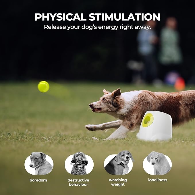 ALL FOR PAWS Automatic Dog Ball Launcher, Interactive Fetch Toy for Medium to Large Dogs, Rechargeable Pet Ball Thrower Machine for Outdoor Play, 6 Pcs 2.5-Inch Balls Included