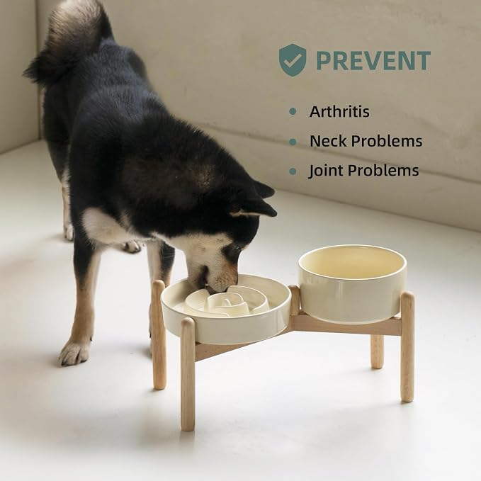 Havniva Elevated Slow Feeder Dog Bowls, Ceramic Dog Bowl Slow Feeder Set | 1.2 Cups Raised Slow Feeder Dog Bowl for Small Breed, 6.1” Dog Water Bowl with Wooden Stand, Puzzle Dog Food Bowl, Non-slip