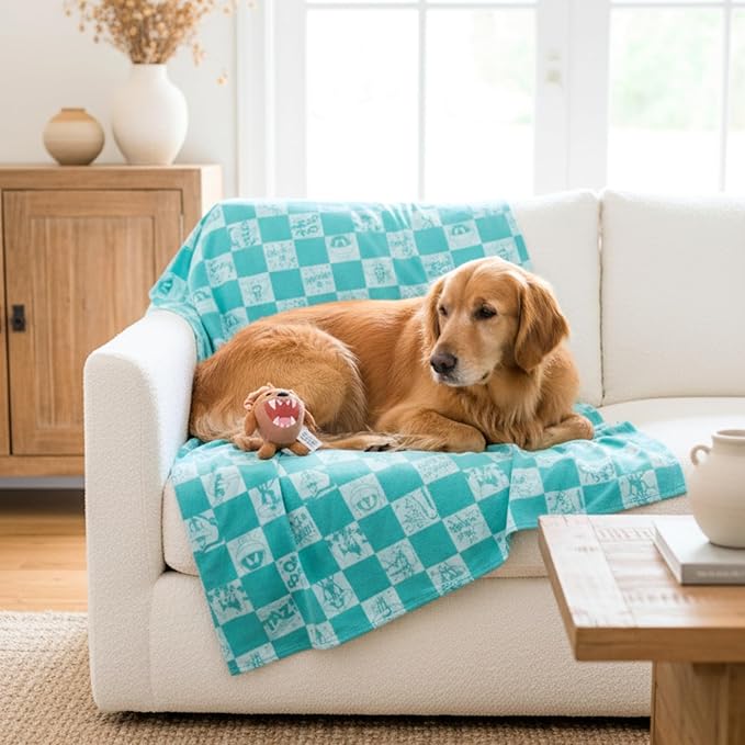 Looney Tunes Tasmanian Devil Pet Throw & Squeaky Pillow Set, Stimulating Toy As Gifts for Puppies, Cats, Dogs, (Officially Licensed) By Franco