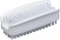 SPARTA 3623900 Plastic Hand Brush, Nail Brush With Polypropylene Bristles For Kitchens, Homes, Restaurants, 3.5 Inches, White, (Pack of 24)