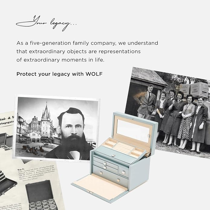 WOLF Blake Shoe Shine Kit