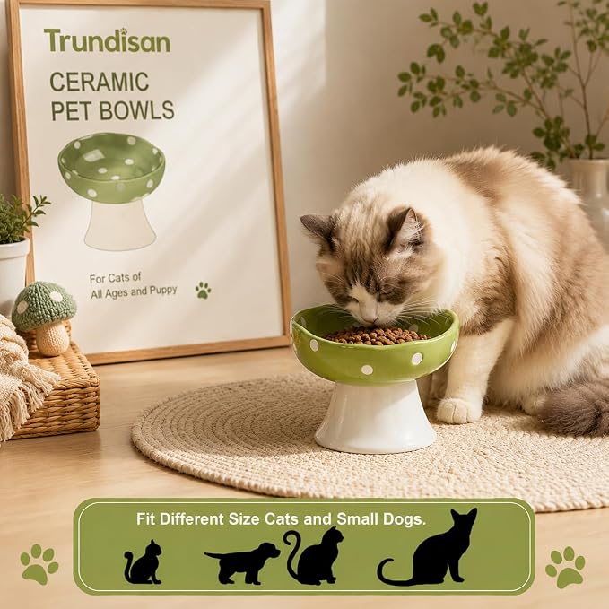 Mushroom Cat Bowl, Elevated Ceramic Cat Bowl, Avocado Green | Cute Mushroom Design • Avocado Green • Elevated Feeding • Whisker Friendly • Smooth Ceramic