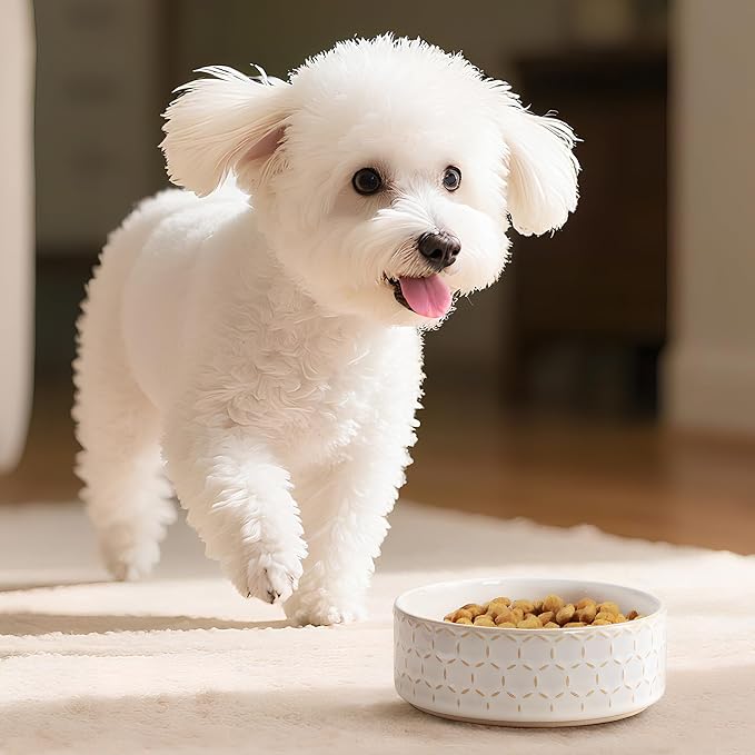 MALACASA Ceramic Dog Food Bowl, Water Dish for Small Breeds, 1.5 Cups | Honeycomb Pattern, Ceramic Pet Bowl, Food and Water Dish, Dishwasher and Microwave Safe, for Small Dogs and Cats