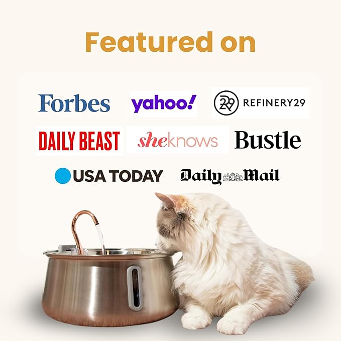 KittySpout Stainless Steel Cat Water Fountain Automatic Drinking Fountain, Quiet Circulating Water Bowl, Dishwasher Safe, Indoor Pet Fountain for Hydrated Healthy Cats (Stainless Steel, 4L Corded)
