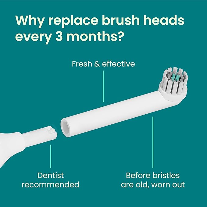 quip Rev Oscillating Electric Toothbrush Heads - 4 Pack - Verified quip Brush Head Refills for Oscillating Toothbrushes - Soft Bristles, Dual-Length, Compact - Last 3 Months Each - White