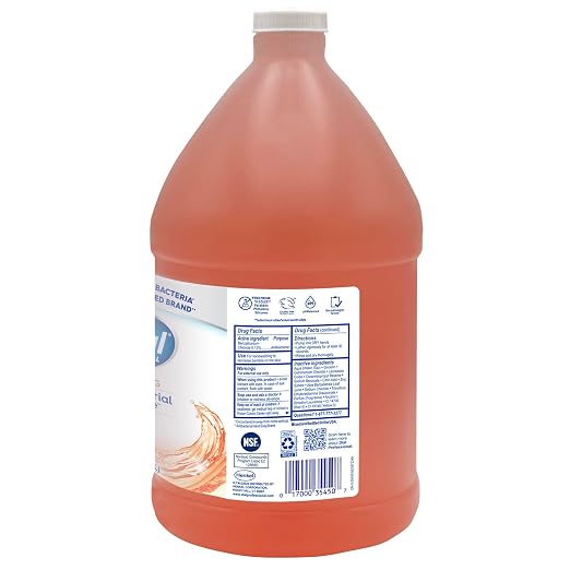 Dial Professional Original Antibacterial Defense Foaming Hand Wash, 1 Gallon Refill Bottle, 128 Fl Oz