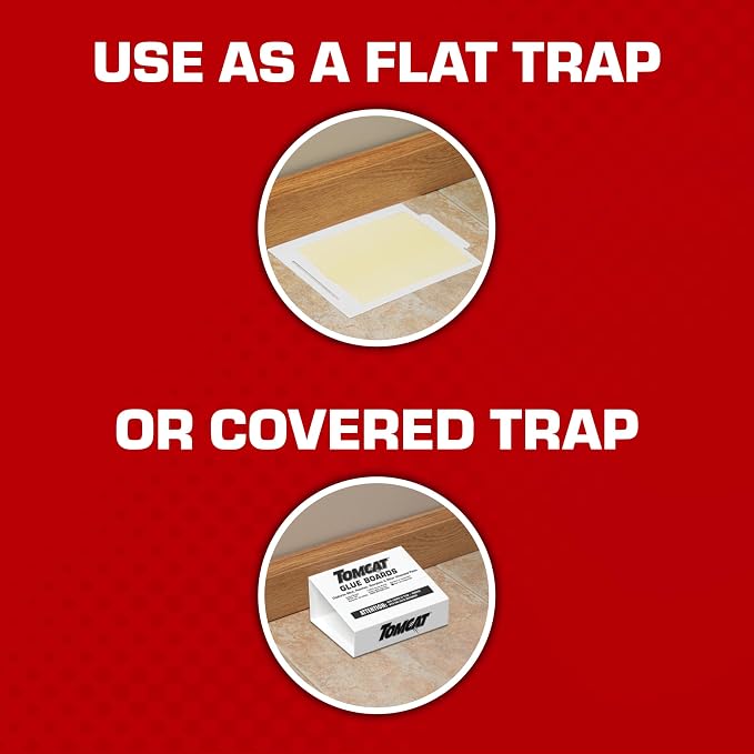 Tomcat Glue Boards with Immediate Grip Glue for Mice, Cockroaches, and Insects, Ready-to-Use, 8-Pack (32 Glue Boards)