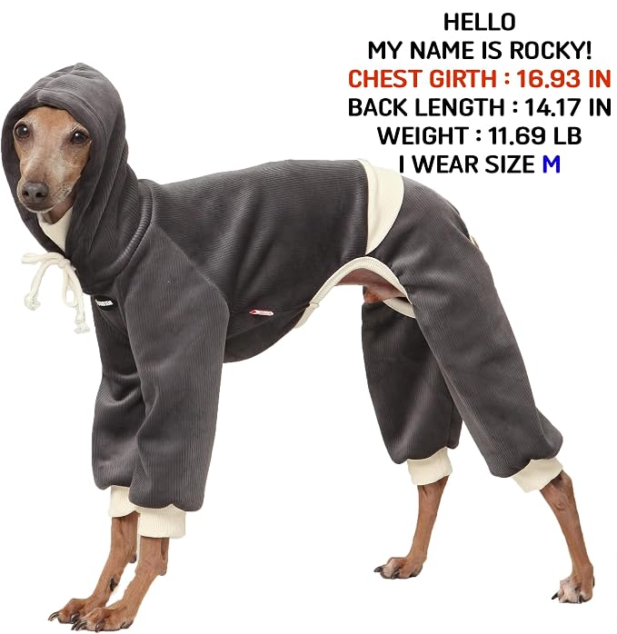 D Doggy Star Italian Greyhound Clothes, Corduroy Velvet Hooded Jumpsuit, Stretchy and Cozy (M,Hoodie Charcoal)