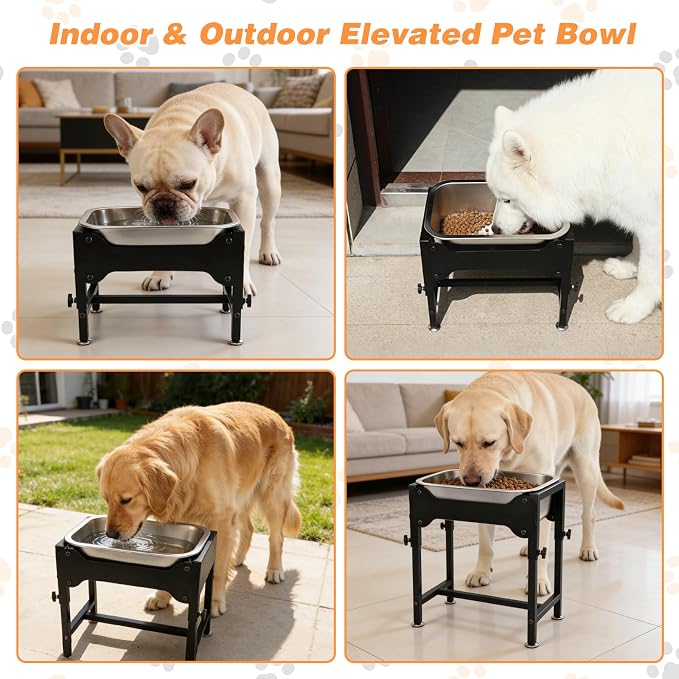 1.25 Gallon Elevated Dog Water Bowl, 4-Height Raised Stand | Stainless Steel Raised Bowl, 4 Heights 9.65-15.16 in, Non-Slip Feet, Small and Medium Dogs, Indoor Outdoor Use, Easy to Clean