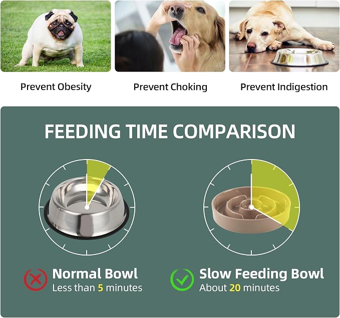 Havniva Elevated Slow Feeder Dog Bowls, Ceramic Dog Bowl Slow Feeder Set | 3.2 Cups Raised Slow Feeder Dog Bowl for Large Breed, 8.2” Dog Water Bowl with Wooden Stand, Puzzle Dog Food Bowl, Non-slip