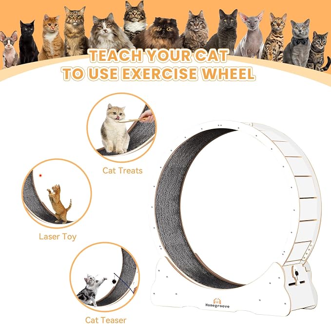 Homegroove Cat Running Wheel, 45" Large XL Cat Exercise Wheel Treadmill with Carpeted Runway, Sport Toy for Kitty’s Longer Life (XL, White)