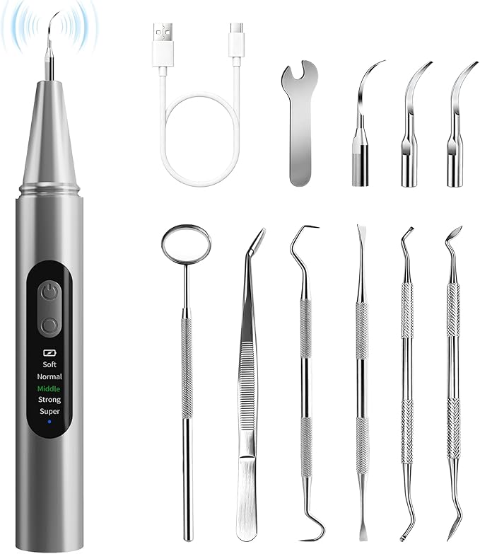 Plaque Remover for Teeth - Teeth Cleaning Kit Tartar Remover for Teeth with LED Light & 5 Adjustable Modes, USB C Rechargeable, 4 Replaceable Heads&6 Dental Tools, IPX7 Waterproof for Home Use
