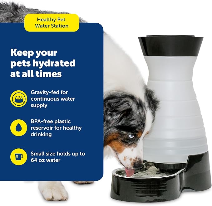 PetSafe Healthy Pet Water Station, 64 oz, Stainless Steel Bowl, Small | Gravity-Fed Pet Water Fountain Keeps Cats or Small Dogs Hydrated, Stainless Steel Bowl Is Dishwasher Safe