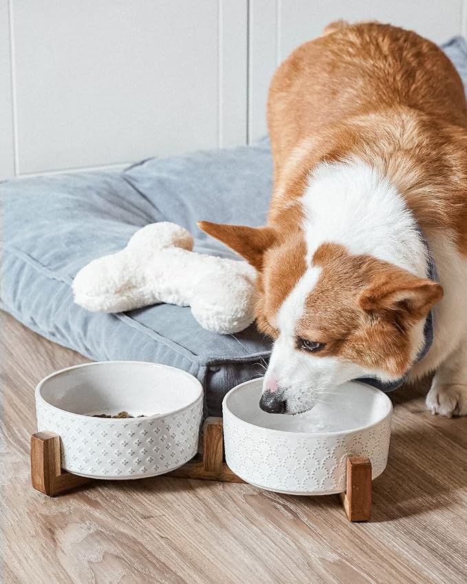 LE TAUCI Dog Bowls Ceramic for Small Medium Dogs - 3-Cup Dual Food & Water Bowl Set with Acacia Wood Stand, Non-Slip Anti-Tip Elevated Design